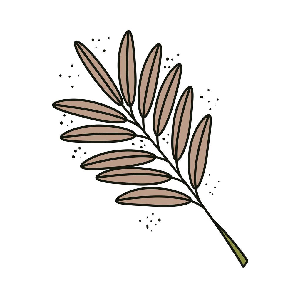 tropical exotic branch with leafs nature icon vector