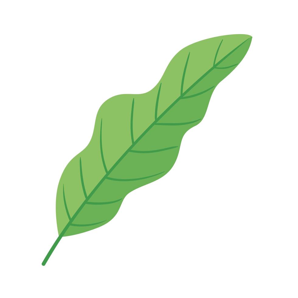 leaf plant ecology nature icon vector