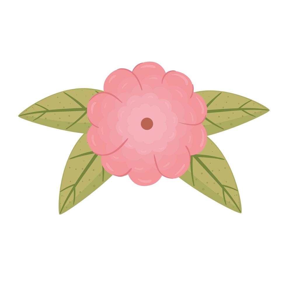 pink flower and leafs color decoration vector