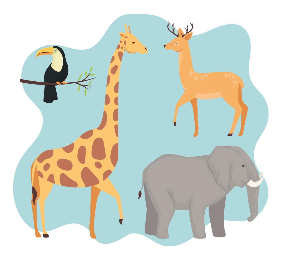 bundle of four animals wild icons vector