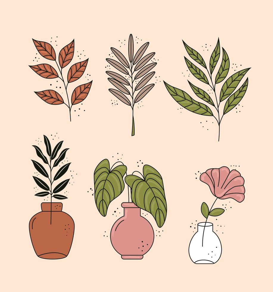 paquete de seis iconos decorativos de plantas de hojas de estilo boho vector