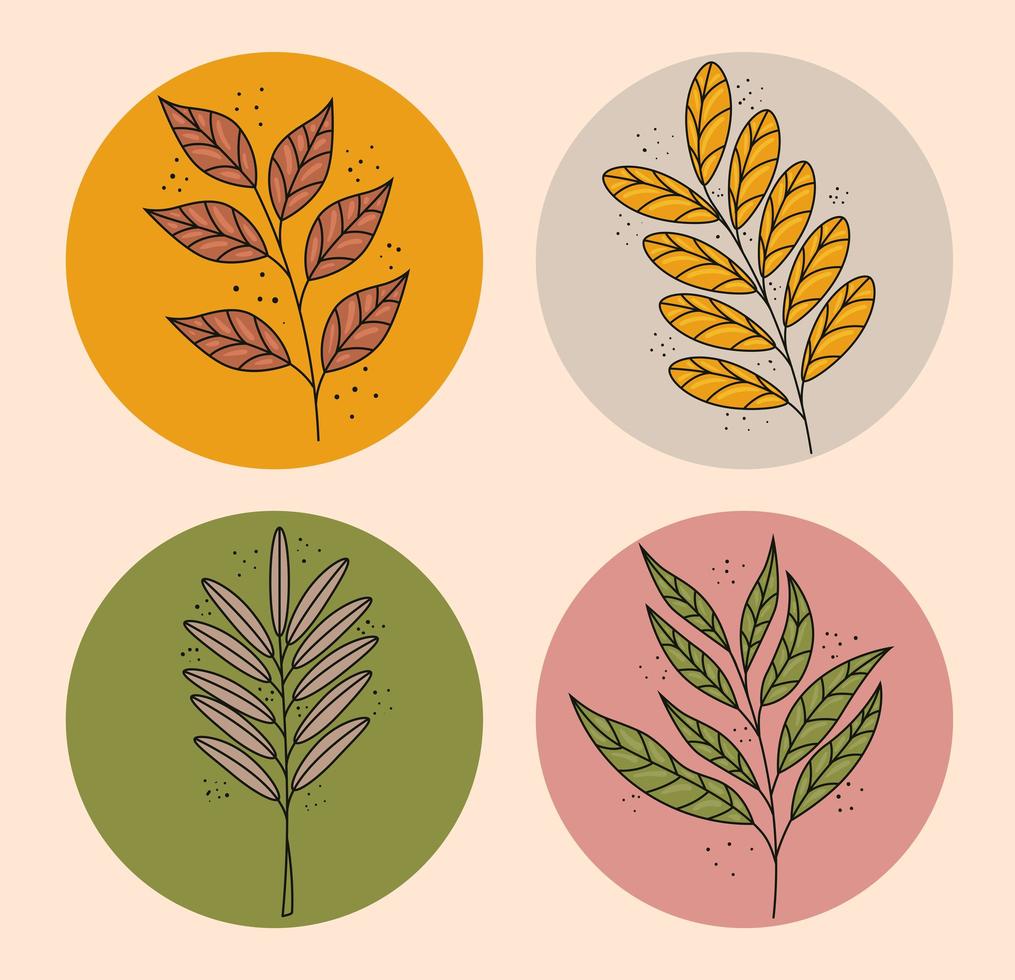 bundle of four boho style leafs plants decorative nature icons vector