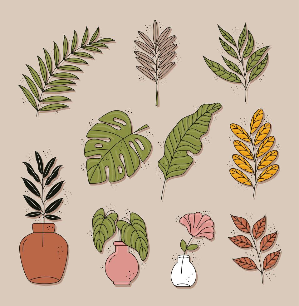 bundle of ten boho style leafs plants decorative nature icons vector