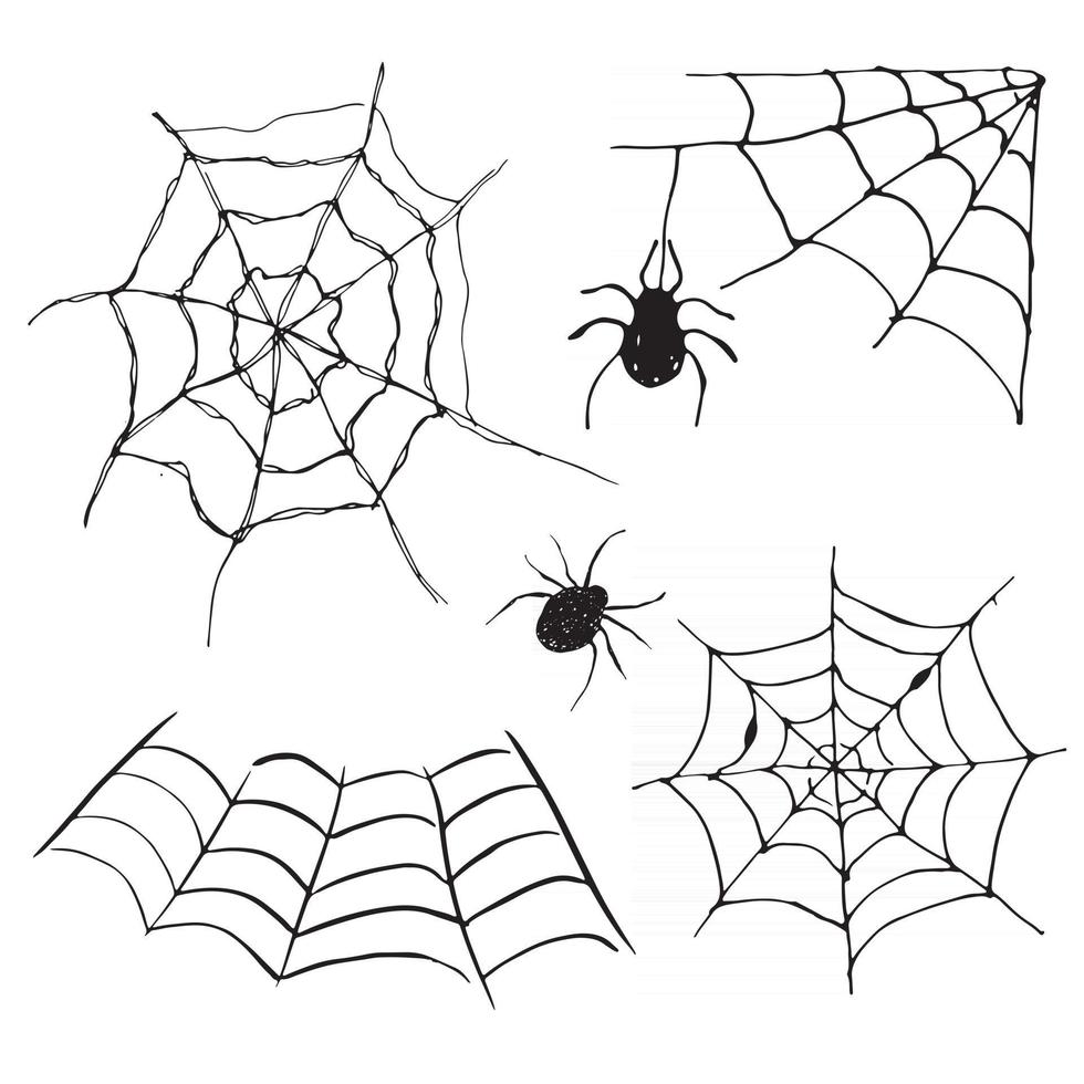 Spider web Hand drawn sketched web vector illustration isolated on white background