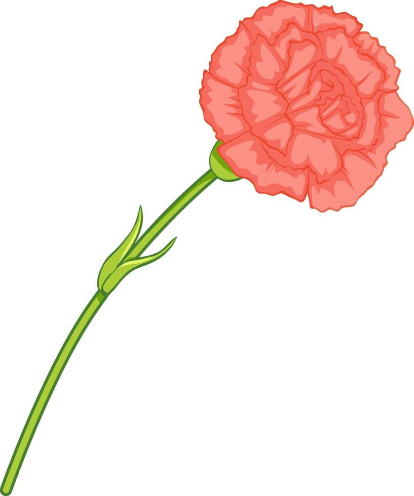 flor de clavel rosa en estilo de dibujos animados aislado vector