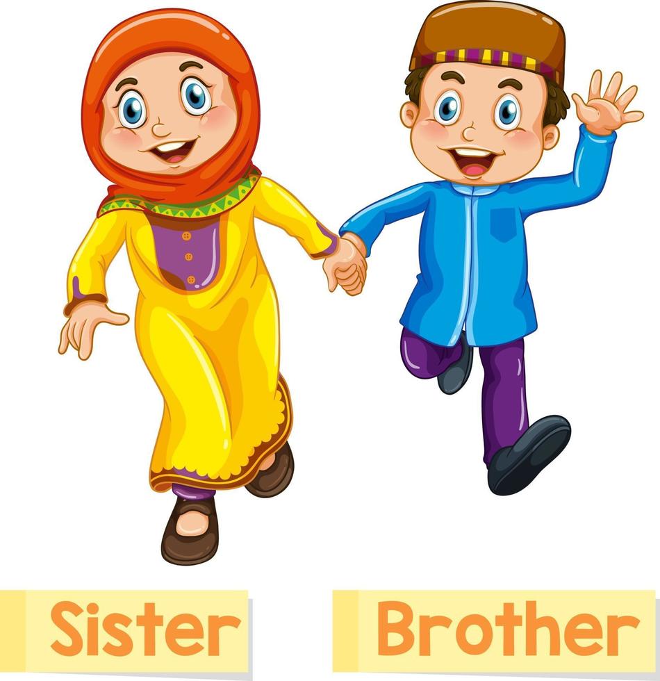 Educational English word card of sister and brother vector