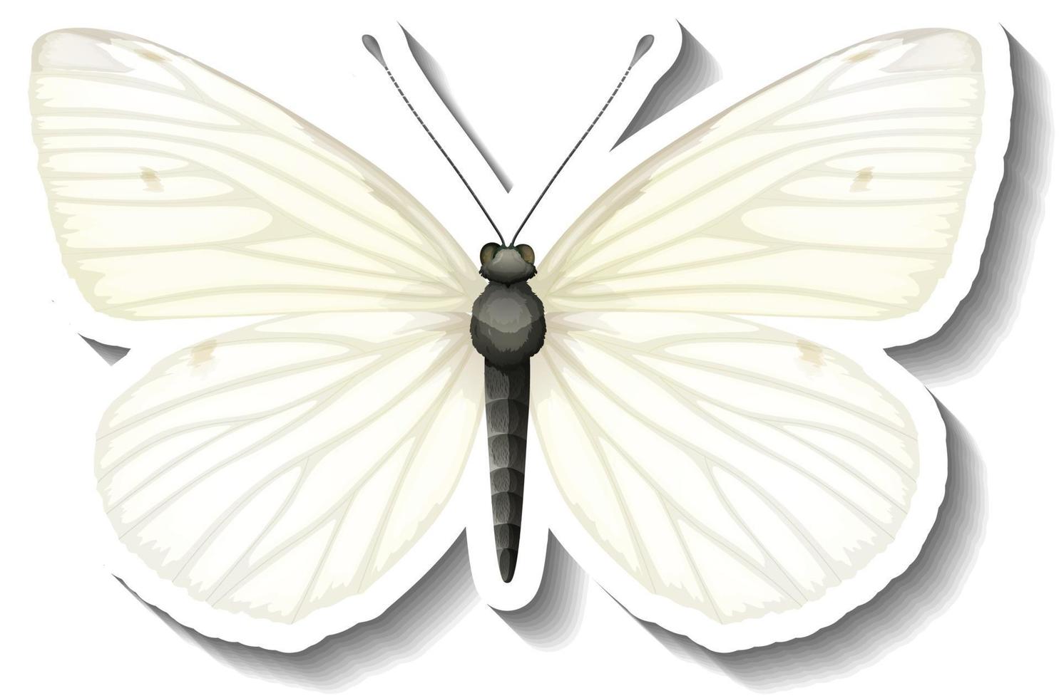 una plantilla de pegatina con mariposa blanca aislada vector