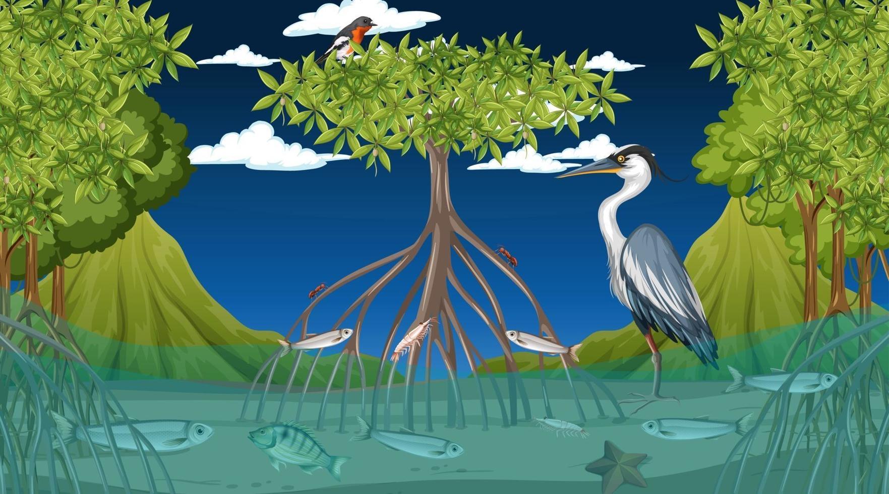 Animals live in mangrove forest at night scene vector