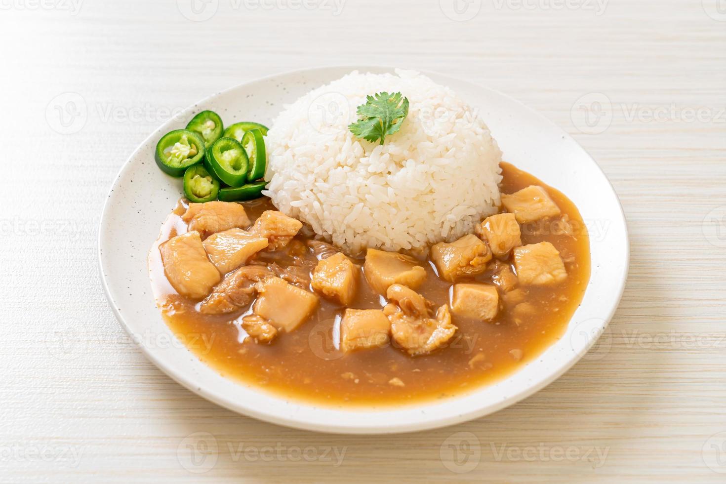 Chicken in brown sauce or gravy sauce with rice photo