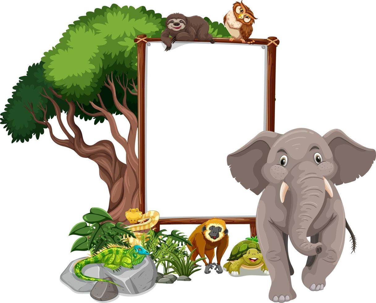 Banner vacío con animales salvajes y árboles de la selva sobre fondo blanco. vector