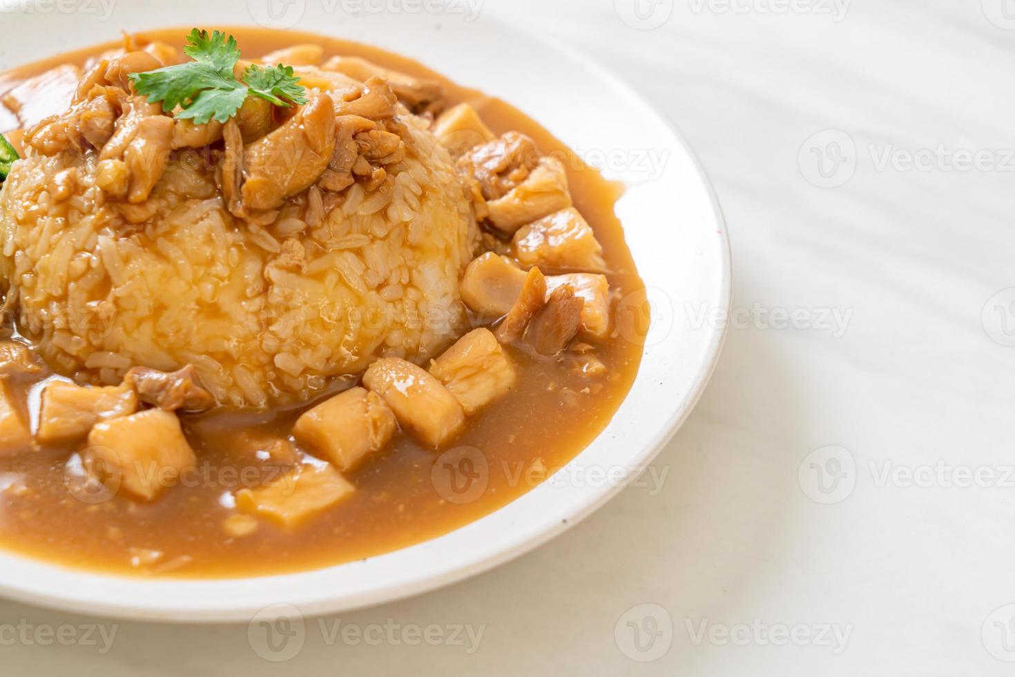 Chicken in brown sauce or gravy sauce with rice photo