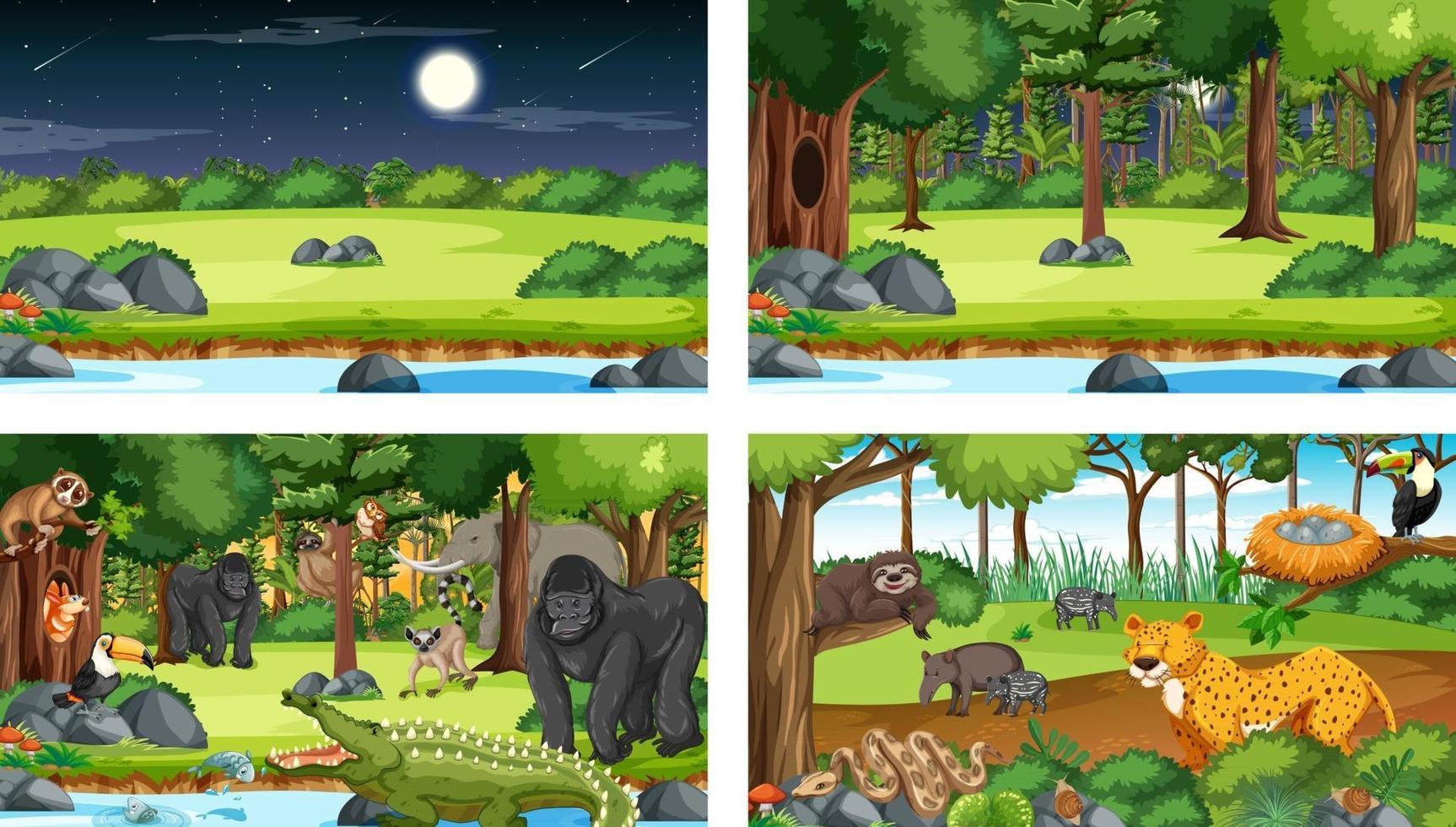 Diferentes escenas de la naturaleza del bosque y la selva tropical con animales salvajes. vector