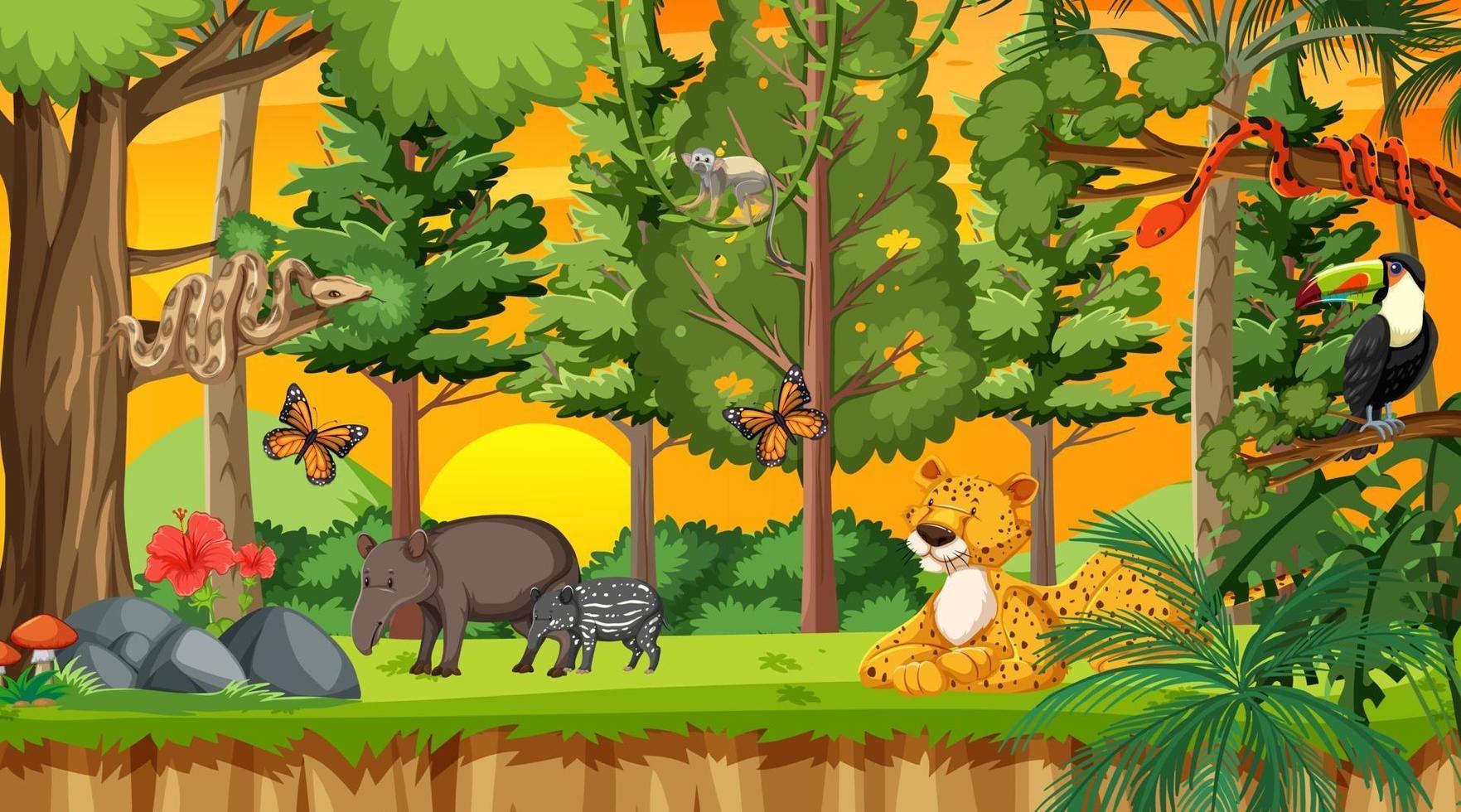 Nature forest at sunset time scene wtih wild animals vector