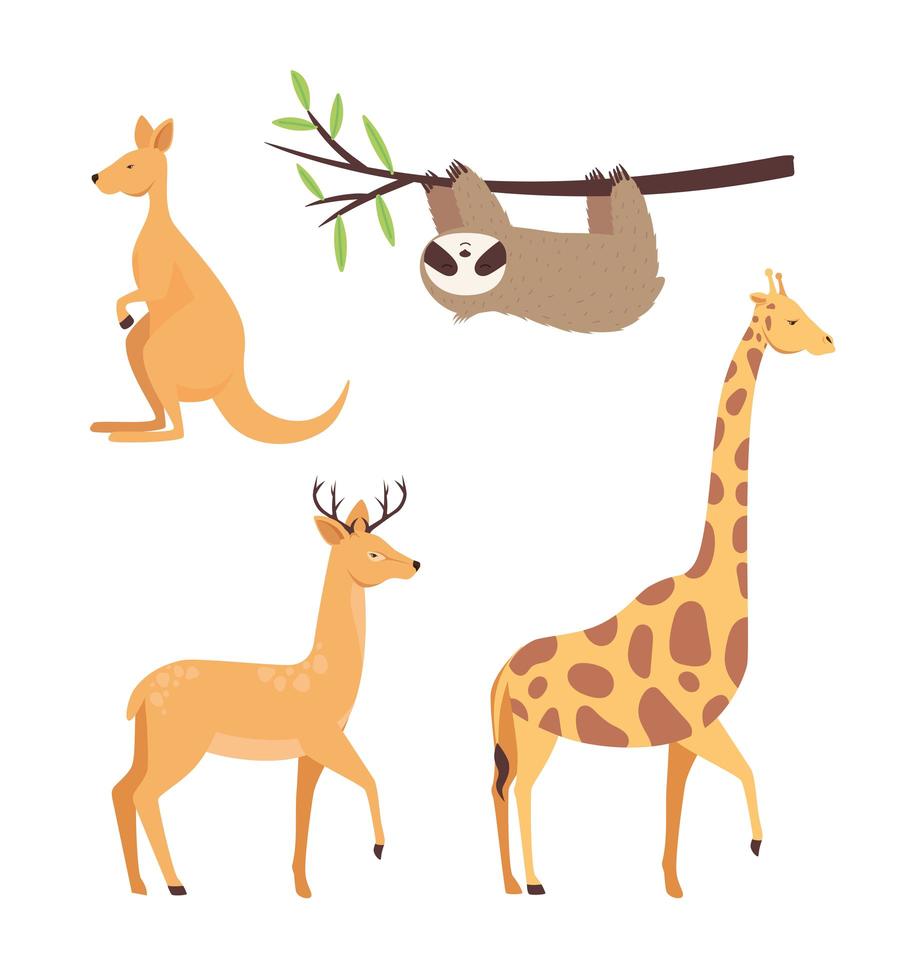 bundle of four animals wild set icons vector