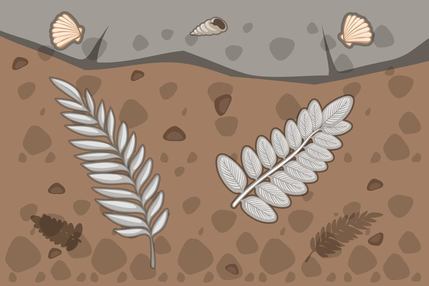 Underground soil with fern leaves fossils vector