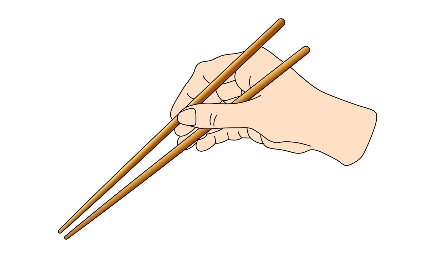 Hand holding sushi sticks for rolls. Scheme how to keep use asian chinese japan chopsticks position instruction. Vector illustration isolated on white background