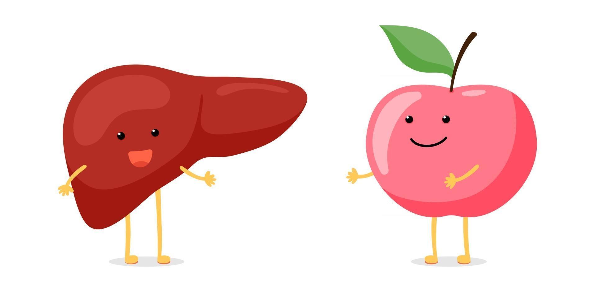 Cute cartoon healthy smiling human liver with happy apple character. Vector funny reversible exocrine gland internal organ mascot. Food nutrition and diet illustration