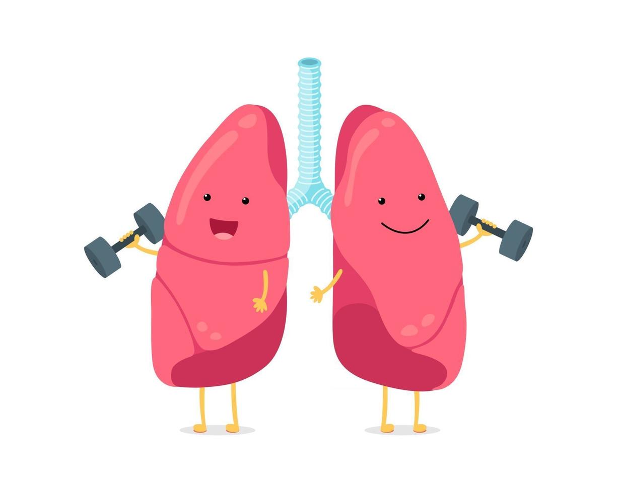 Cute cartoon funny lungs character with dumbbells. Strong smiling lung. Human respiratory system happy internal breath organ mascot. Medical healthy anatomy flat vector illustration