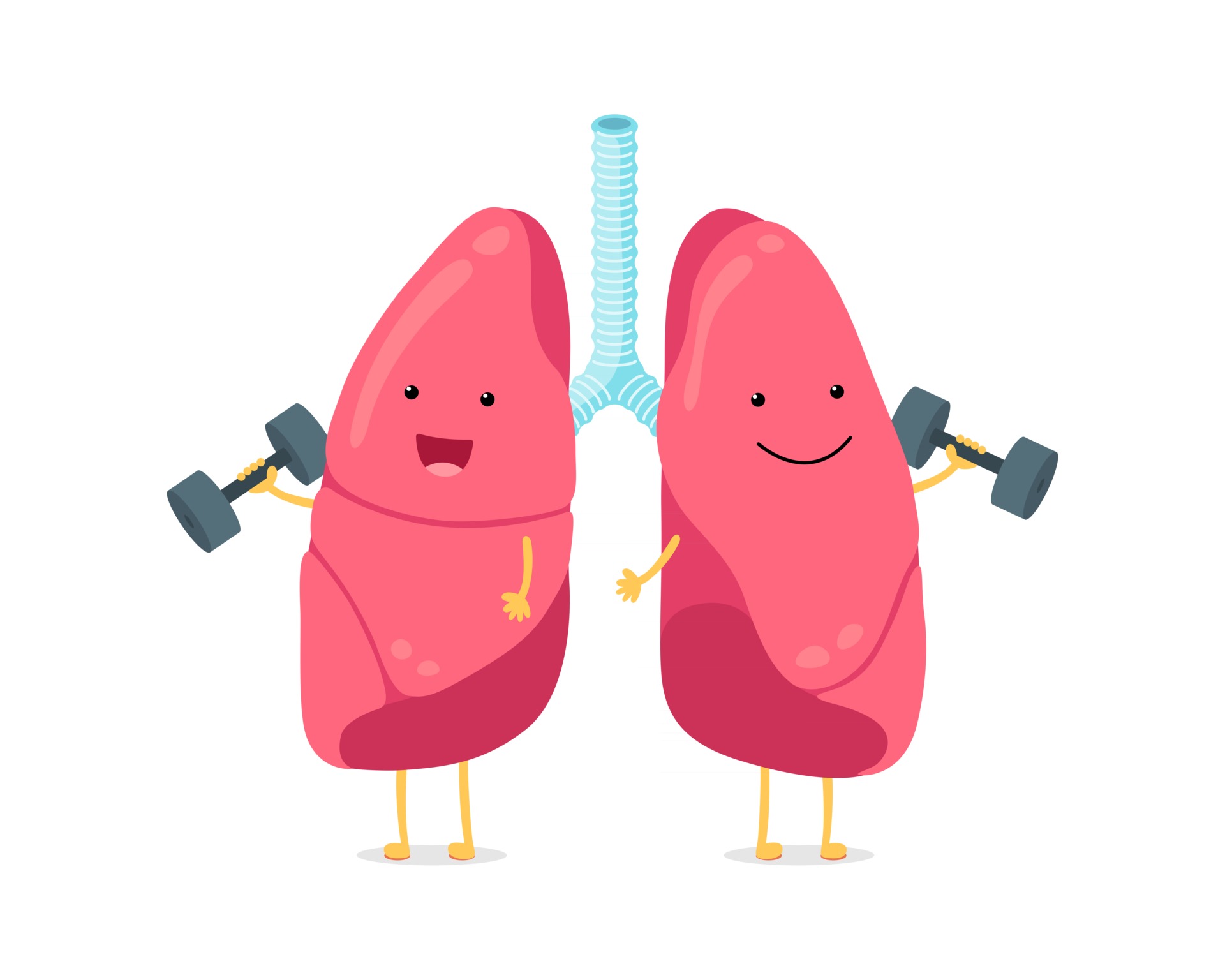 Cute cartoon funny lungs character with dumbbells. Strong smiling lung