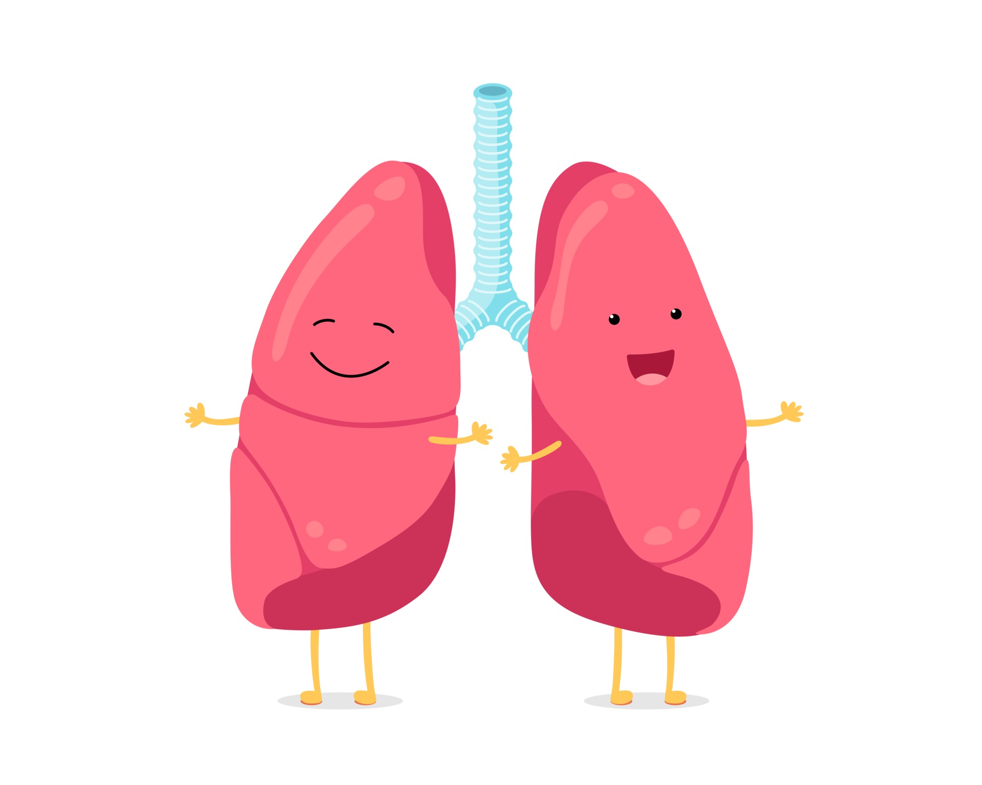 Cute cartoon funny lungs character. Strong smiling lung. Human respiratory  system happy internal organ mascot. Medical healthy anatomy flat vector  illustration 2698564 Vector Art at Vecteezy
