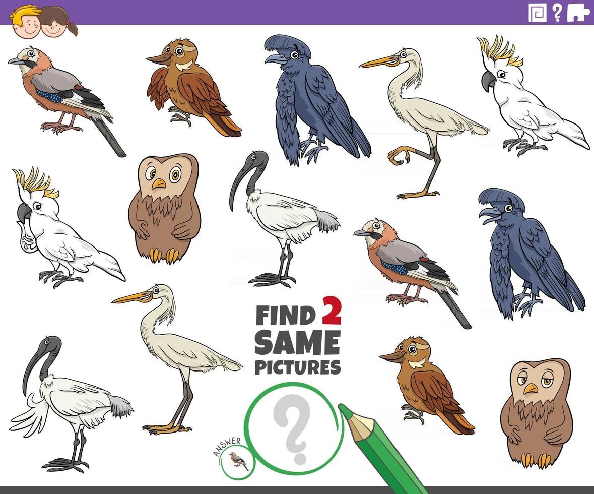 find two same cartoon birds educational game vector