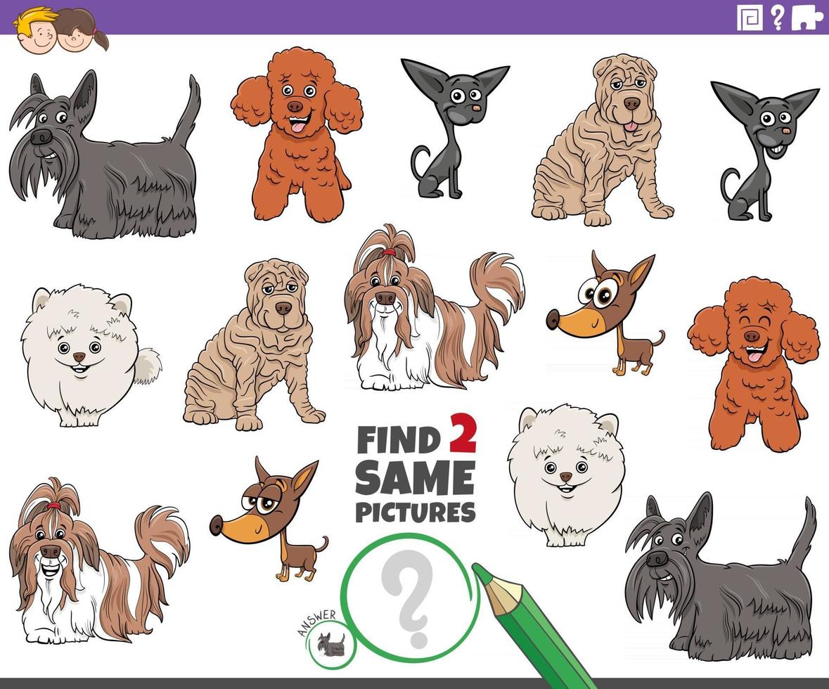find two same cartoon purebred dogs educational game vector