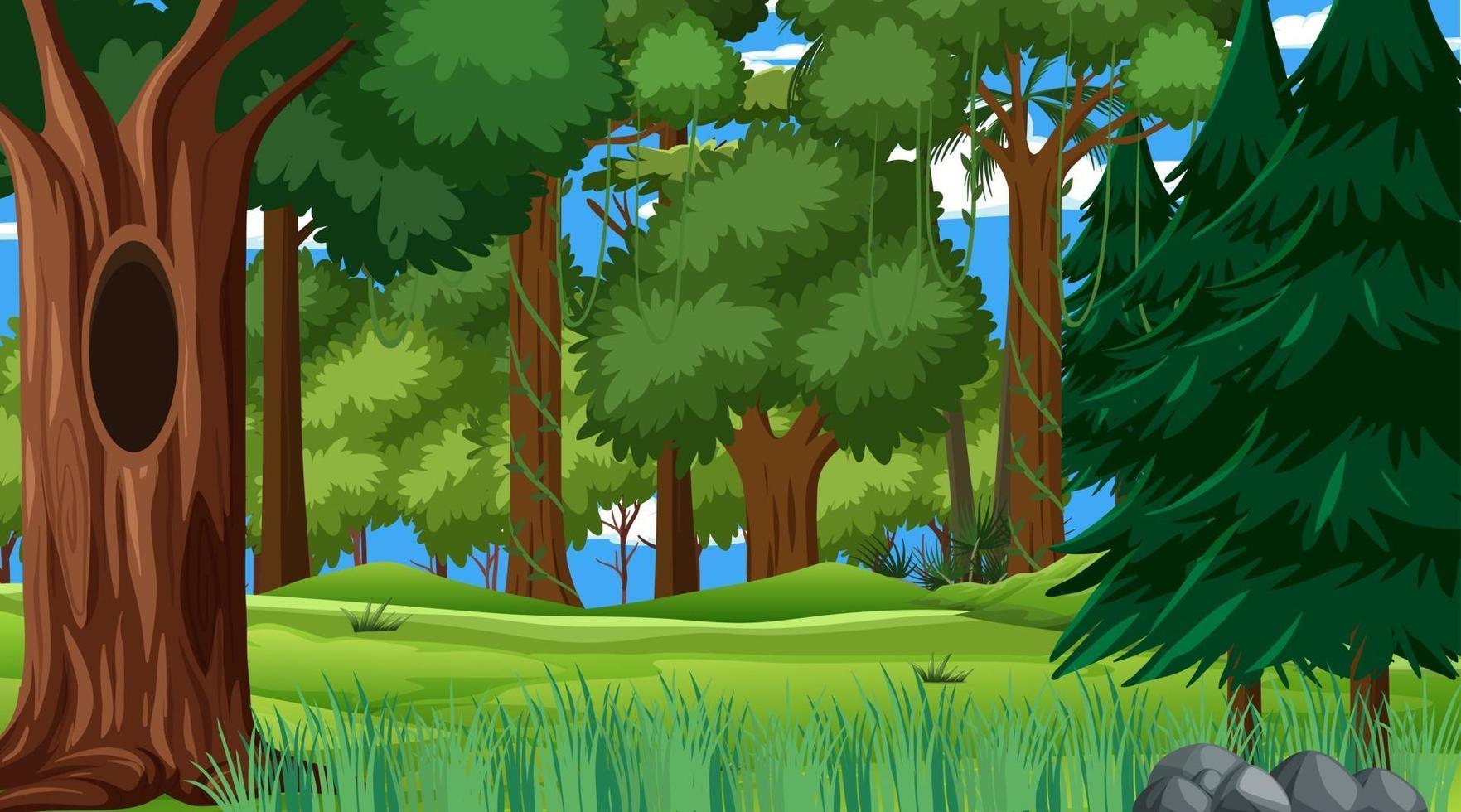 Forest scene with various forest trees vector