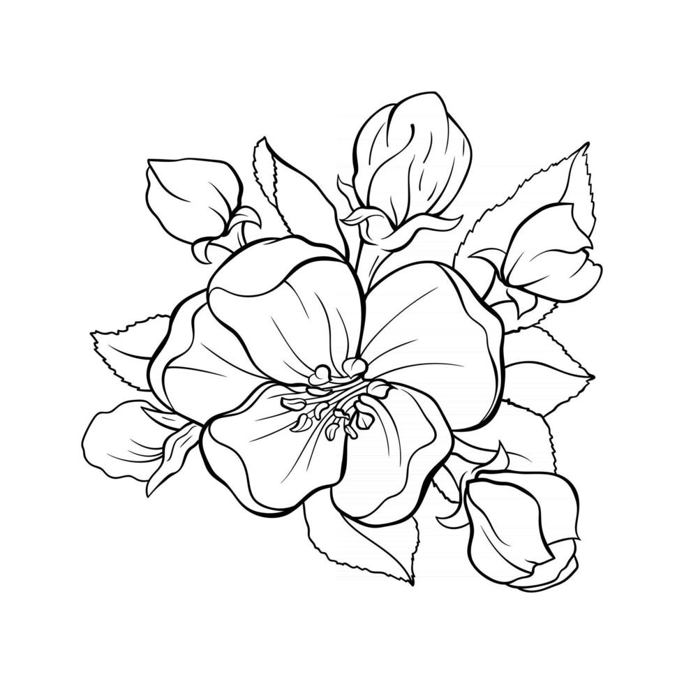 Japanese apple tree flower bouquet contour drawing vector