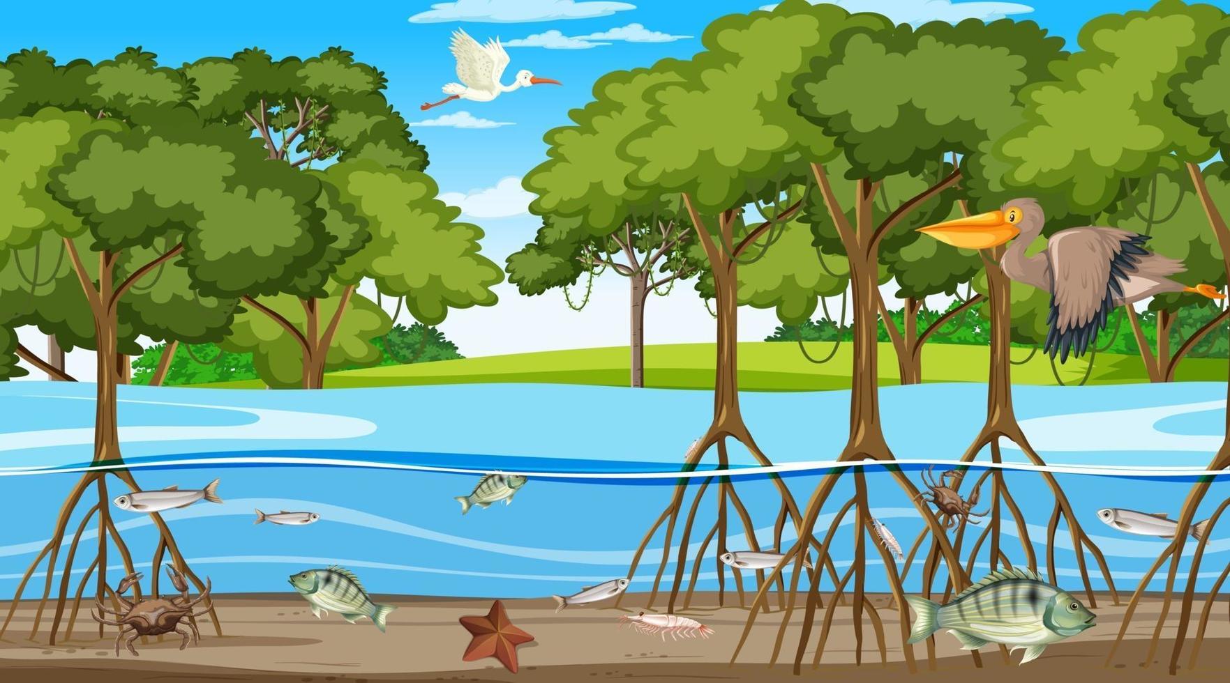 Animals live in Mangrove forest at daytime scene vector