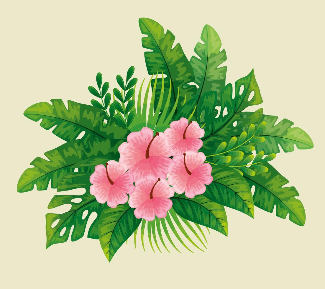 cute flowers pink color with tropical leafs naturals vector