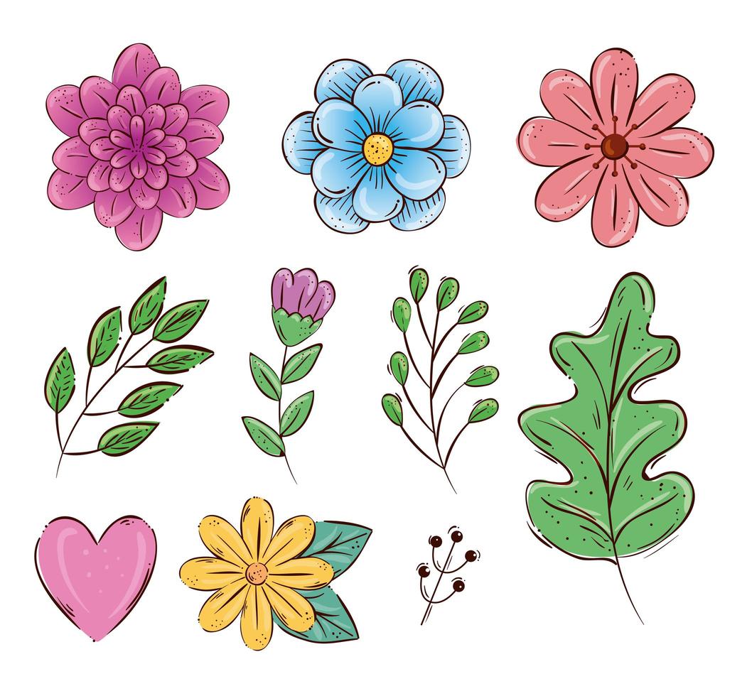 set of cute flowers and branches with leafs vector