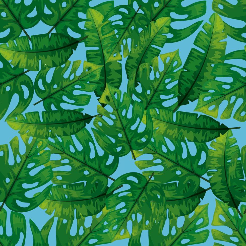 background of tropical leafs naturals vector