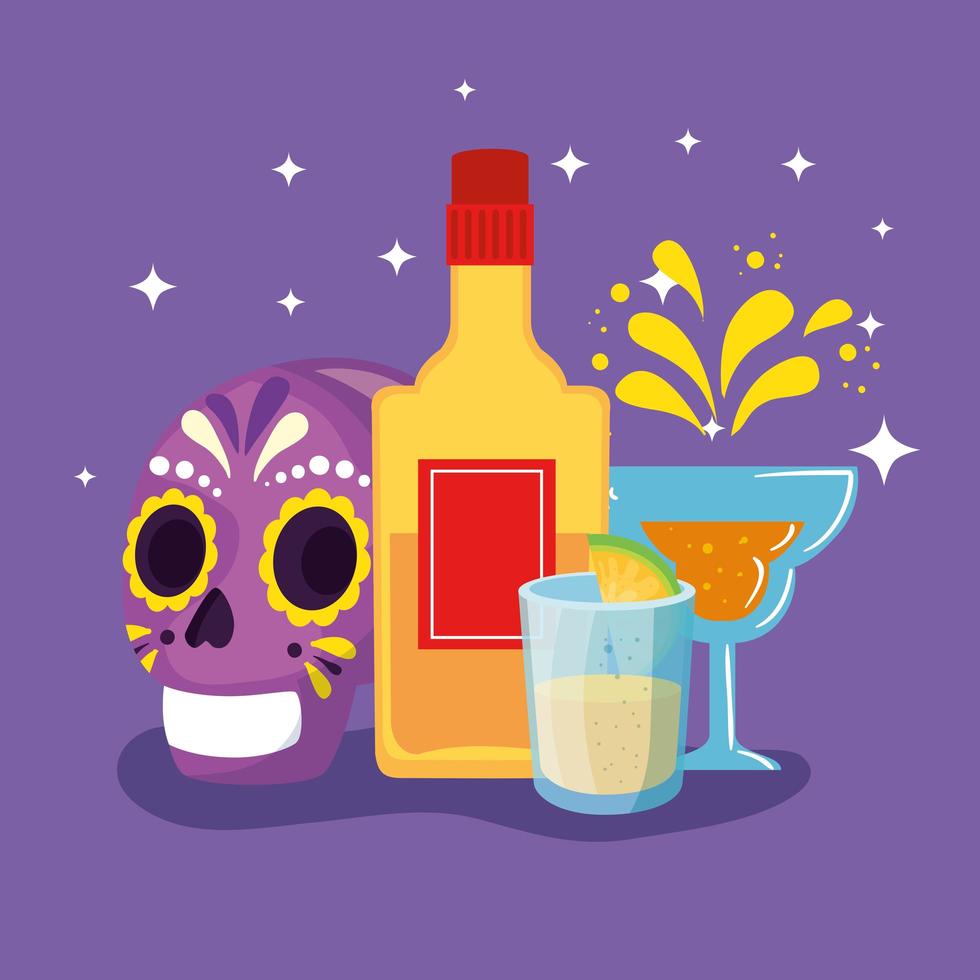 bottle tequila and icons traditional of cinco de mayo vector