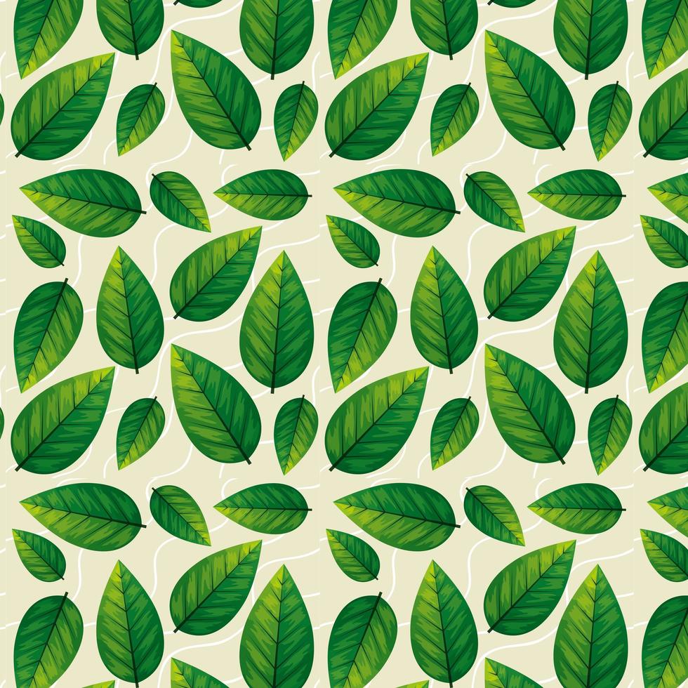 background of leafs ovate natural ecologics vector