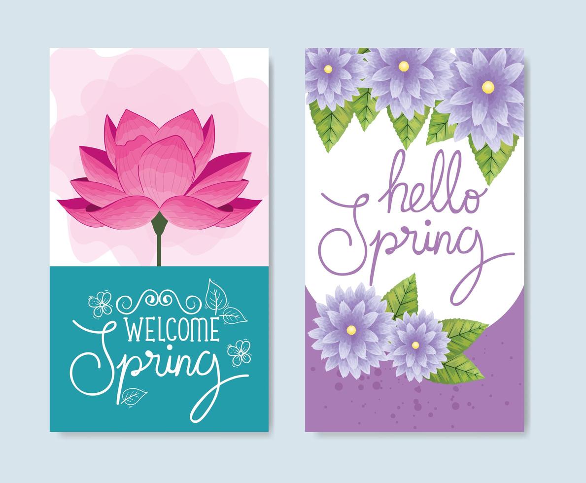 set cards of hello spring with flowers decoration vector