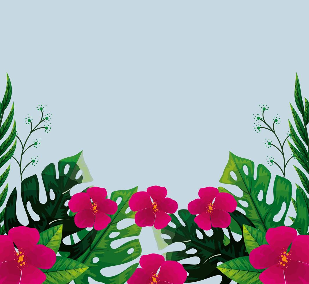 cute flowers fuchsia color with tropical leafs naturals vector