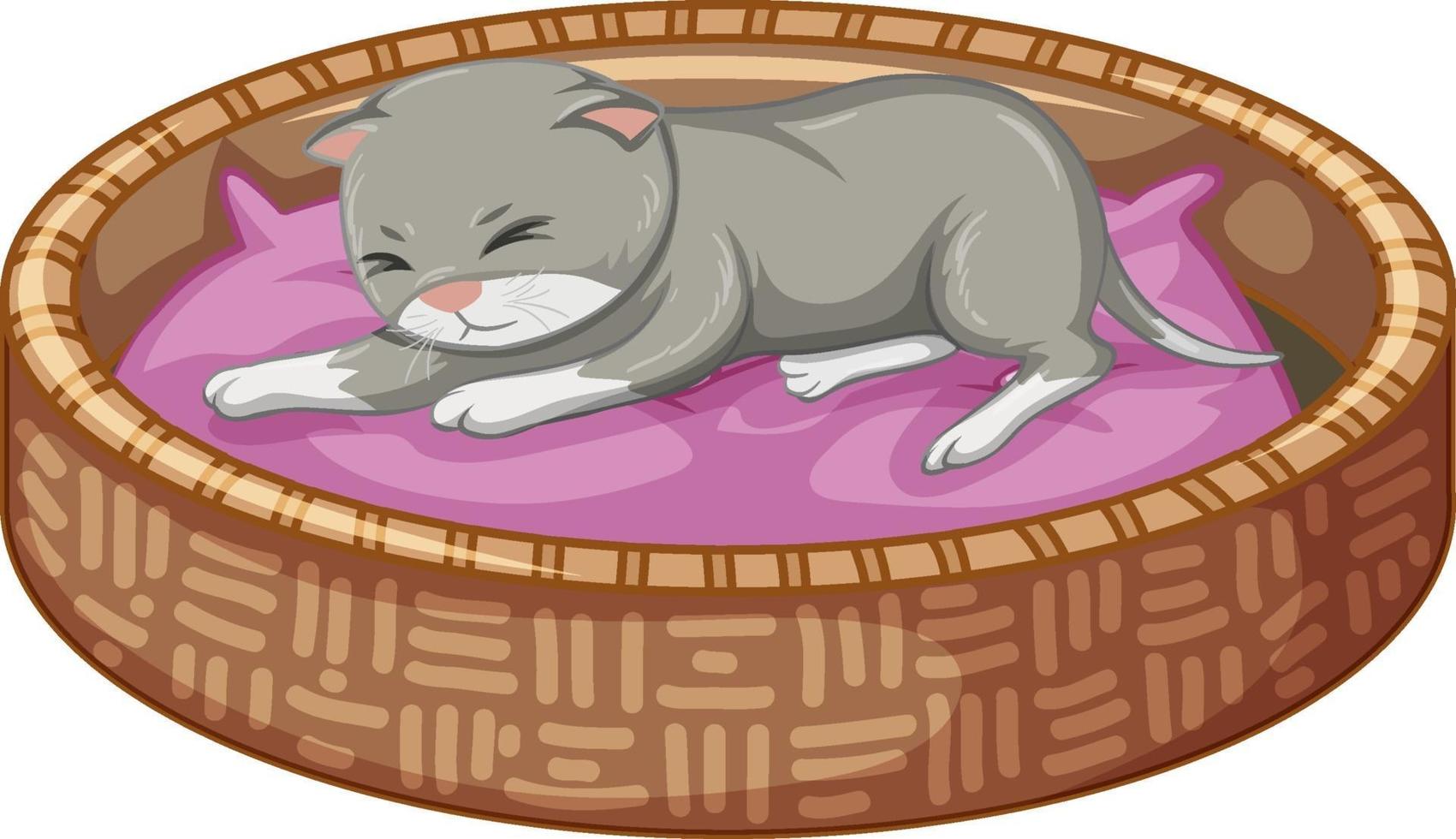 Gatito gris acostado en su cama sobre fondo blanco. vector