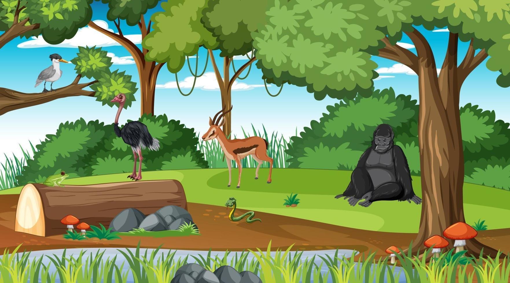 Rainforest scene with different wild animals vector