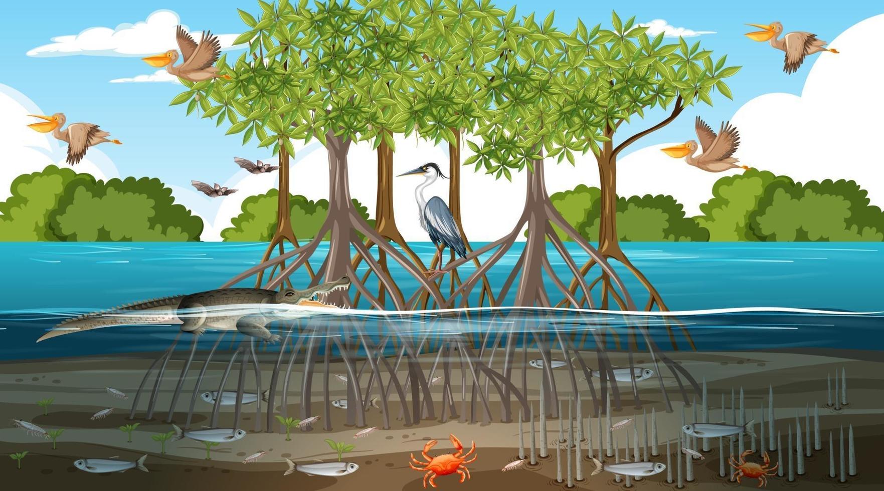 Mangrove forest landscape scene at daytime with many different animals vector