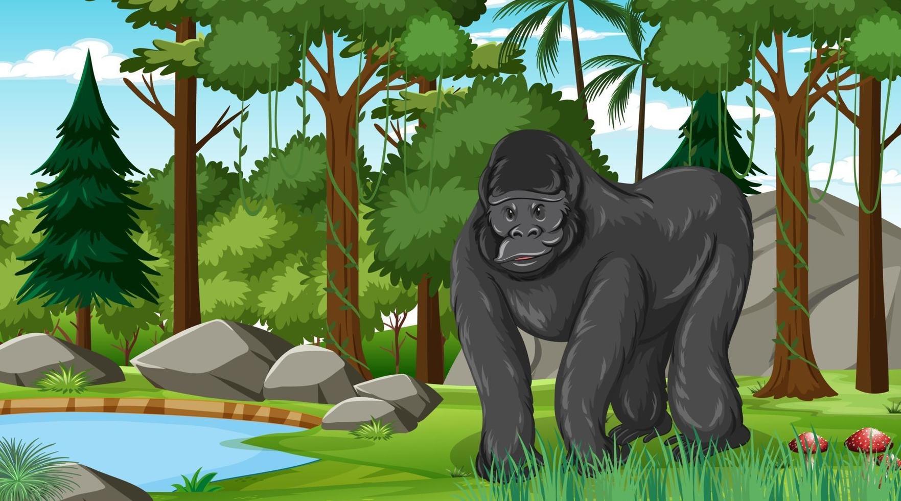 Gorilla in forest or rainforest scene with many trees 2701984 Vector