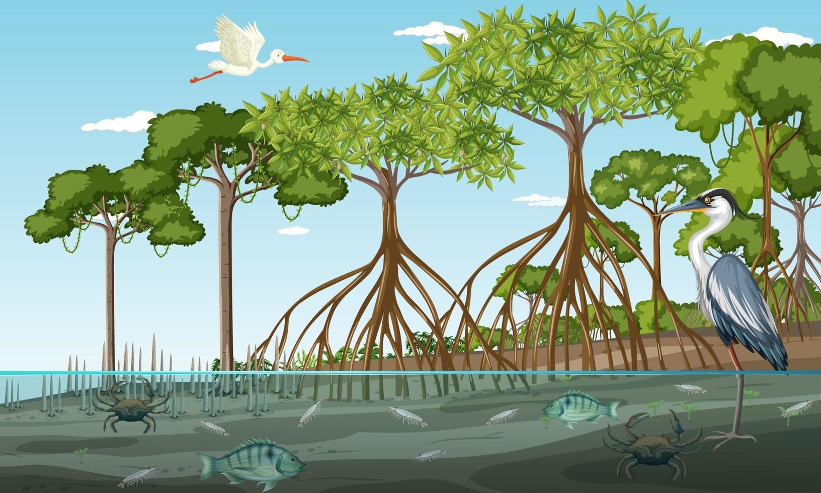 Mangrove forest landscape scene at daytime with many different animals vector