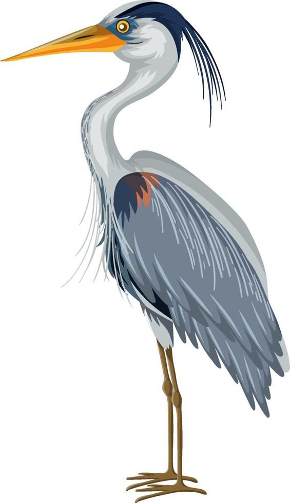 Great Blue Heron in cartoon style on white background vector