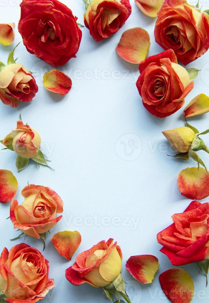 Flowers composition. Frame made of red  roses and leaves on blue background photo