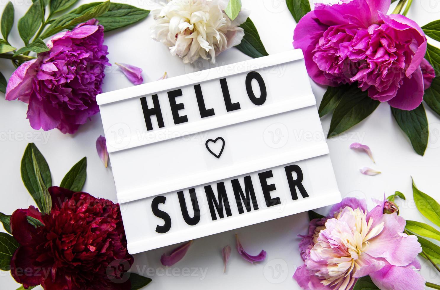 Lightbox with text HELLO SUMMER and peony flowers photo