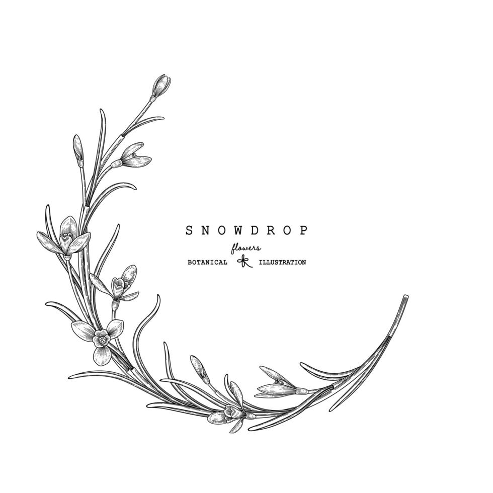 Circle Wreath with snowdrop flowers and leaves hand drawn sketch illustrations vector