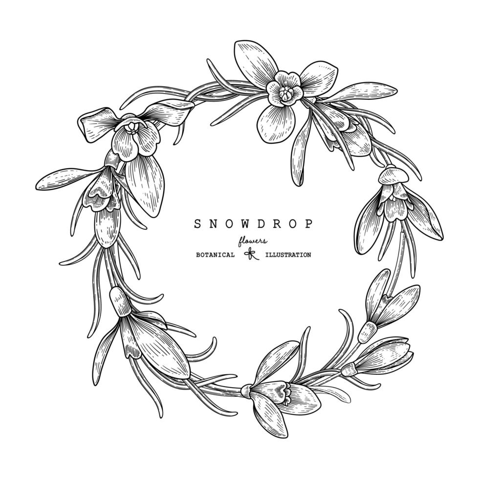 Circle Wreath with snowdrop flowers and leaves hand drawn sketch illustrations vector