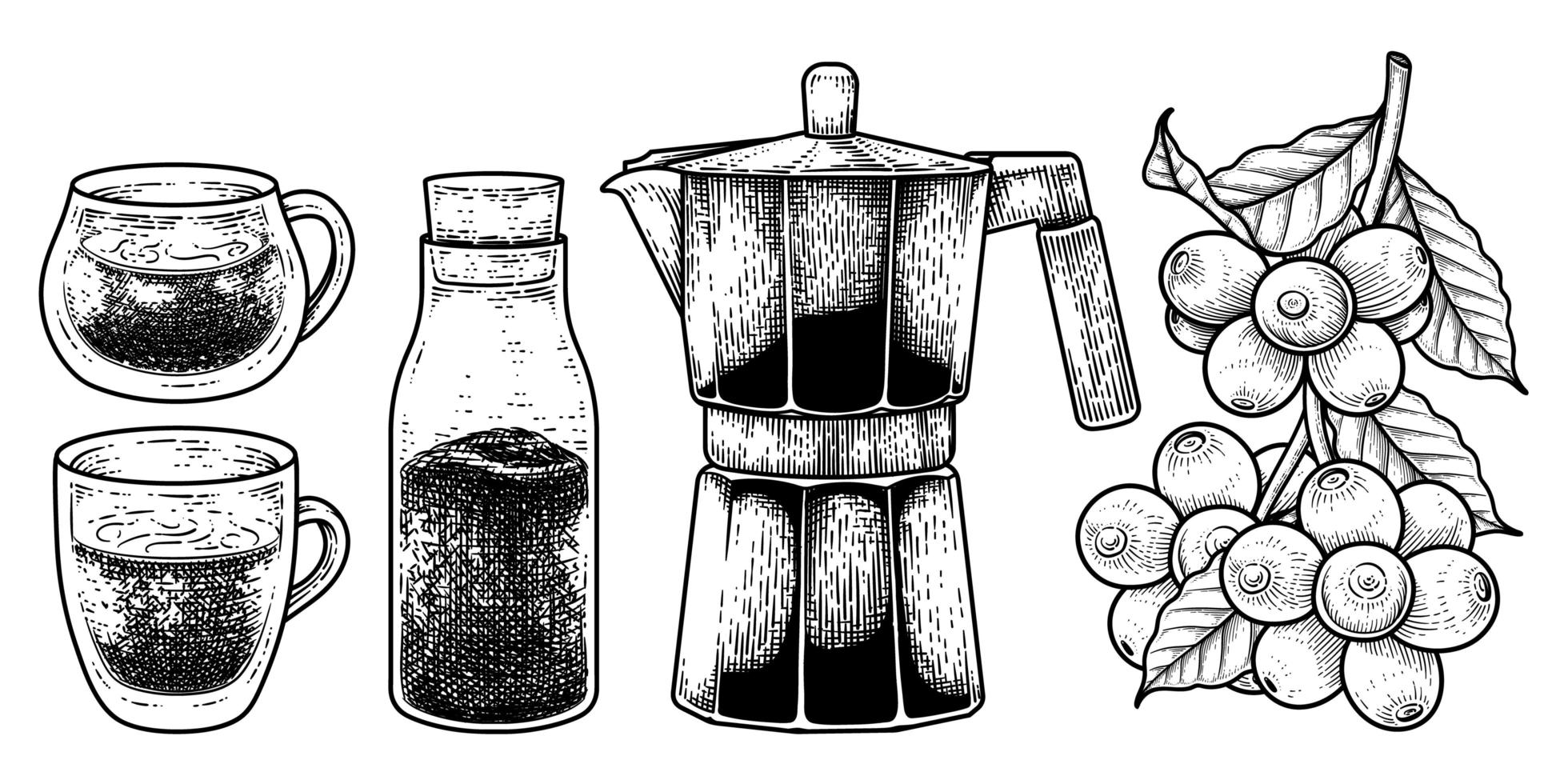 boceto conjunto de vectores de herramientas de cafetera. vasos, botella de café instantáneo, cafetera espresso o moka y una rama de café con bayas ilustración dibujada a mano