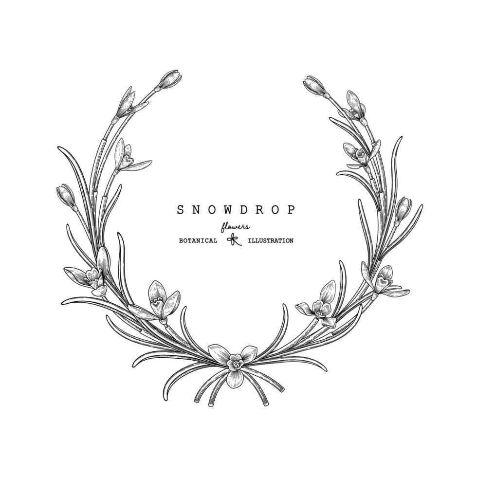 Circle Wreath with snowdrop flowers and leaves hand drawn sketch illustrations vector