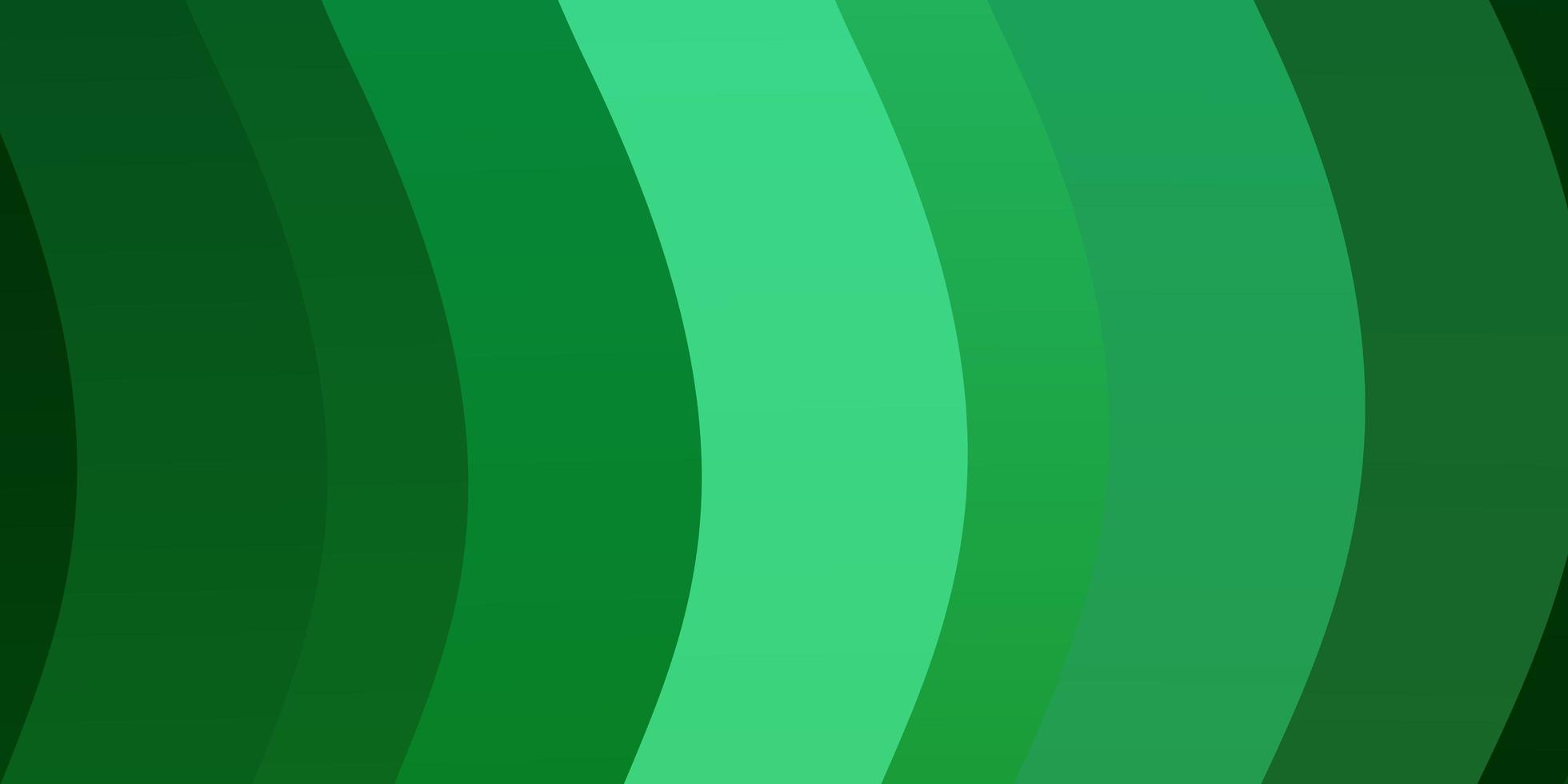 textura de vector verde claro con arco circular