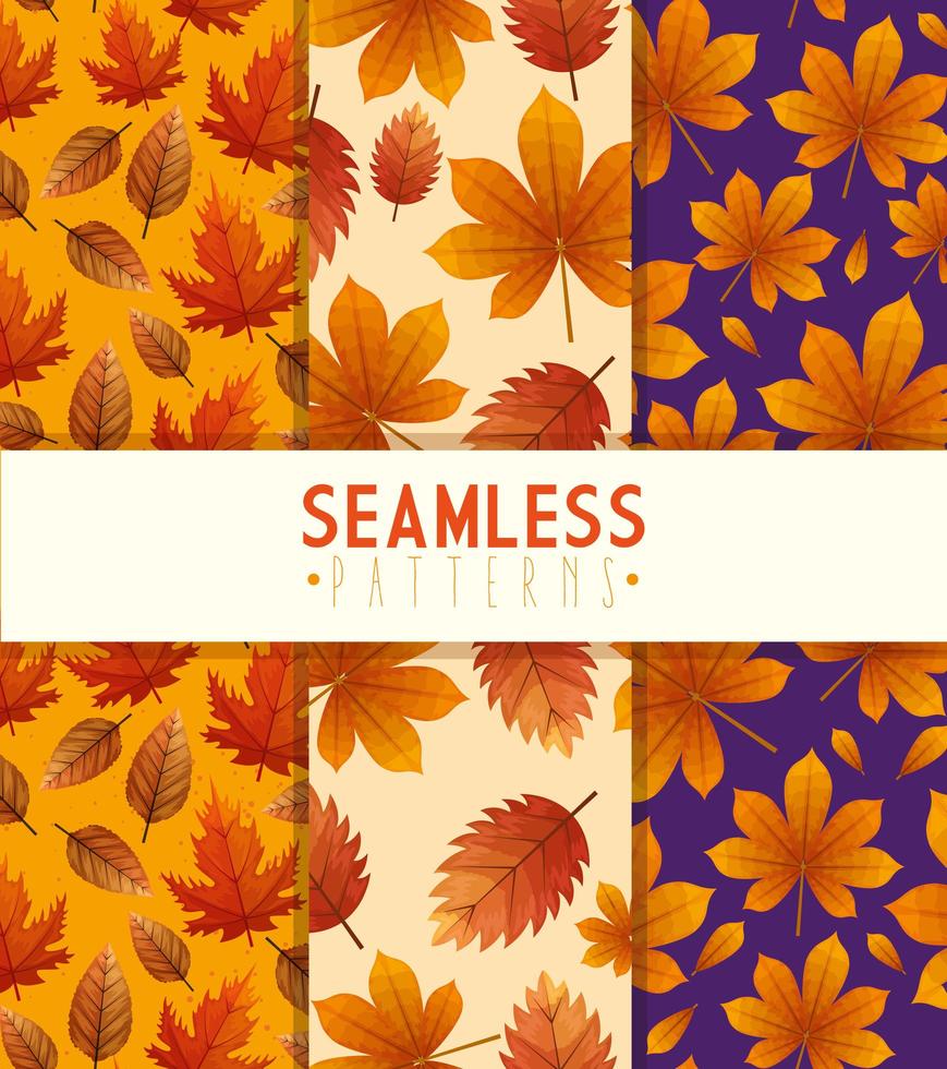 set of patterns seamless of leafs natural ecologics vector